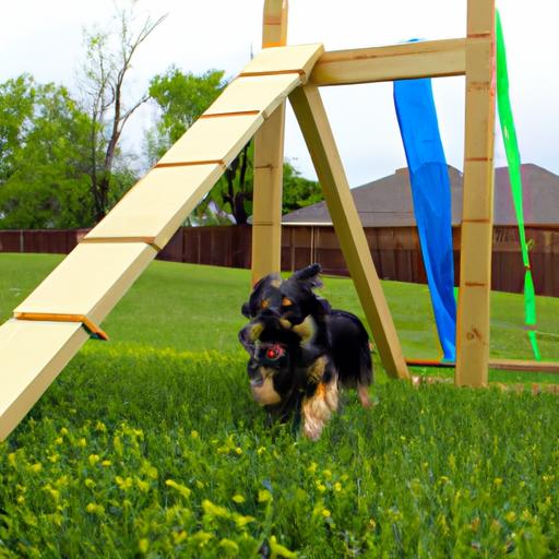 Canine DIY Obstacle Course: Backyard Adventure