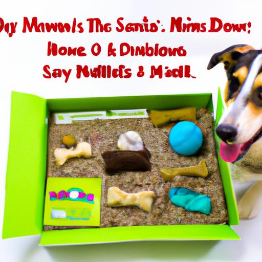 Canine DIY Sensory Box: Engaging Senses