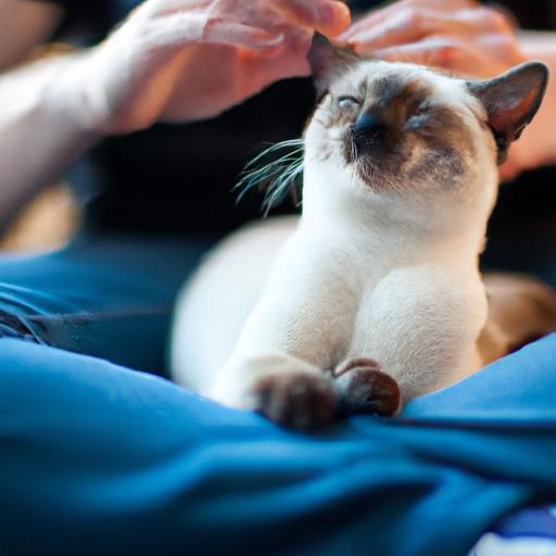 Cat Behavior: The Significance of Cheek Rubbing