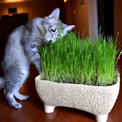 DIY Cat-Friendly Cat Grass Planters: A Fun and Healthy Project for Your Feline Friend