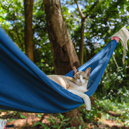 DIY Cat-Friendly Outdoor Hammocks: Enhancing Your Feline Friend’s Outdoor Experience