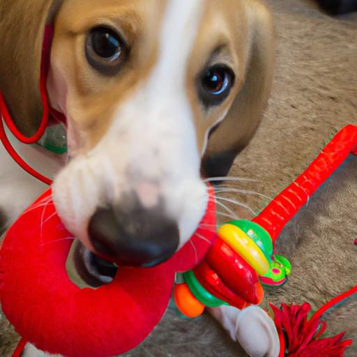 Enriching Your Dog’s Life with Interactive Toys