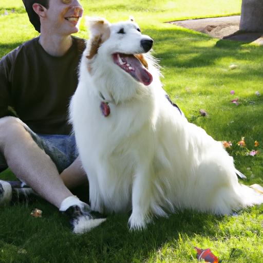 Managing Canine Attention-Seeking Behavior: A Guide to a Happier and Well-Behaved Dog