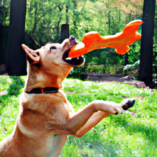 Canine DIY Projects for Interactive Play: Engaging Your Dog in Fun and Stimulating Activities