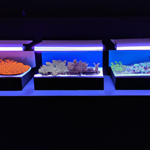 Different lighting options for coral aquariums: LED lights, T5 fluorescent lights, and metal halide lights.