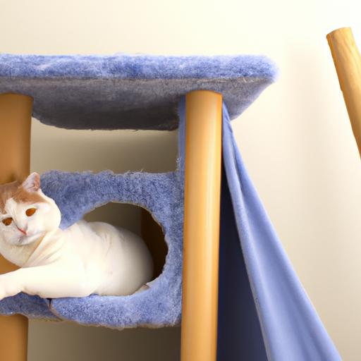 Creating a Feline Safe Haven at Home: Designing a Paradise for Your Beloved Cats