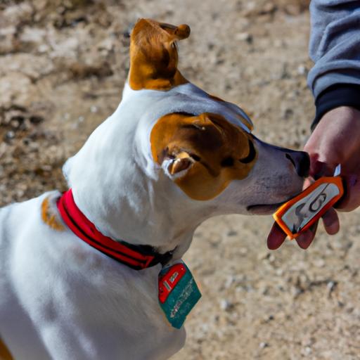 Positive reinforcement training techniques are highly effective in addressing canine behavioral changes.