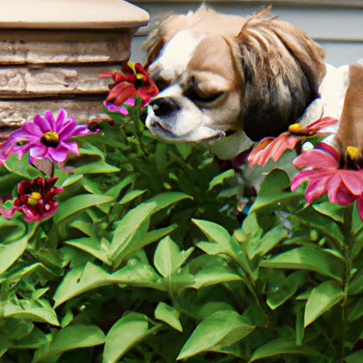 Encouraging Canine Calmness during Gardening