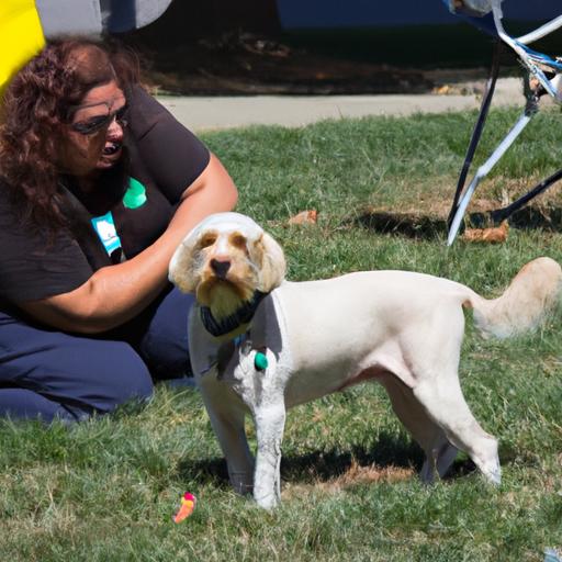 Positive Canine Experiences with Outdoor Festivals